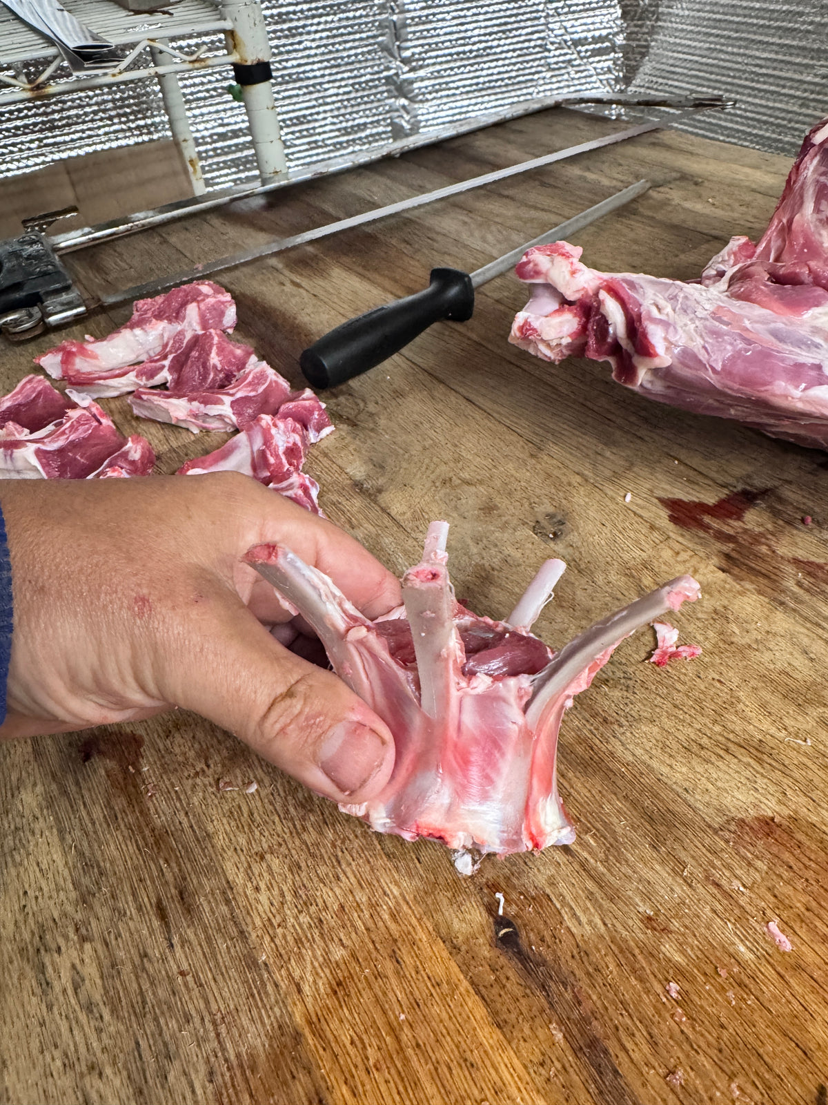 Kosher Lamb Starter Box 3 — Bone-In Shoulder & Rib Selection