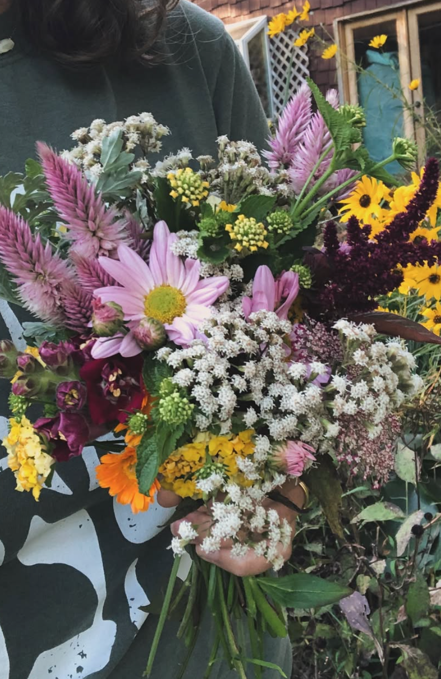 Schoolhouse Seeds
