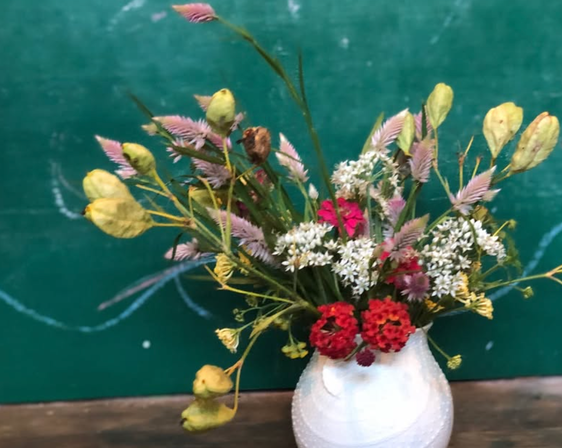 Schoolhouse Seeds
